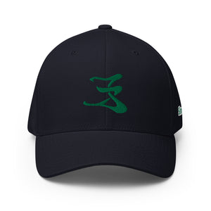 Open image in slideshow, Structured Twill Cap Green logo #1
