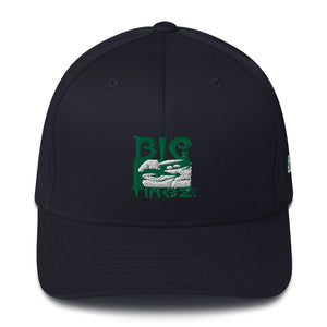 Open image in slideshow, Structured Twill Cap Green logo #2
