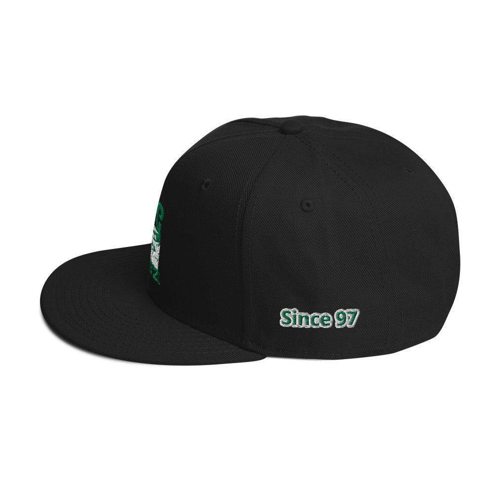 Snapback Hat green logo #2